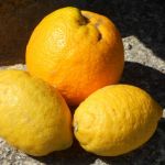 Oranges and lemons from own garden